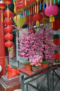 Bunga Sakura dan Lampion