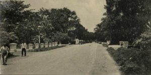 Kebun Binatang Cikini